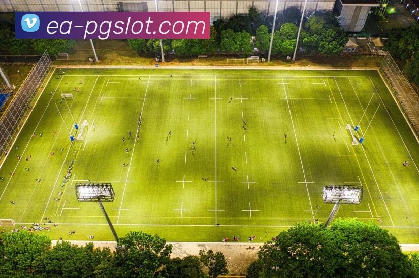 PG电子官网服务体系